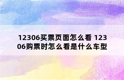 12306买票页面怎么看 12306购票时怎么看是什么车型